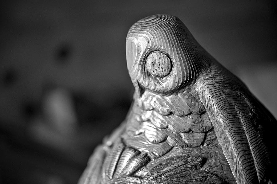 Photo 1001257