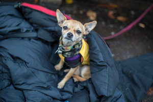 Uber Exif Photo
