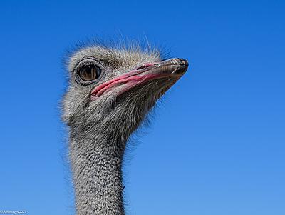 Uber Exif Photo