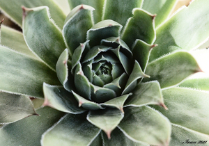 Uber Exif Photo