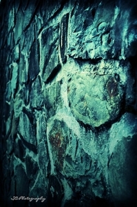 Uber Exif Photo