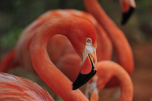 Uber Exif Photo