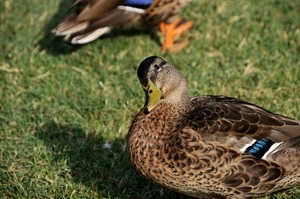 Uber Exif Photo