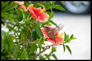 Uber Exif Photo