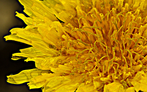Uber Exif Photo