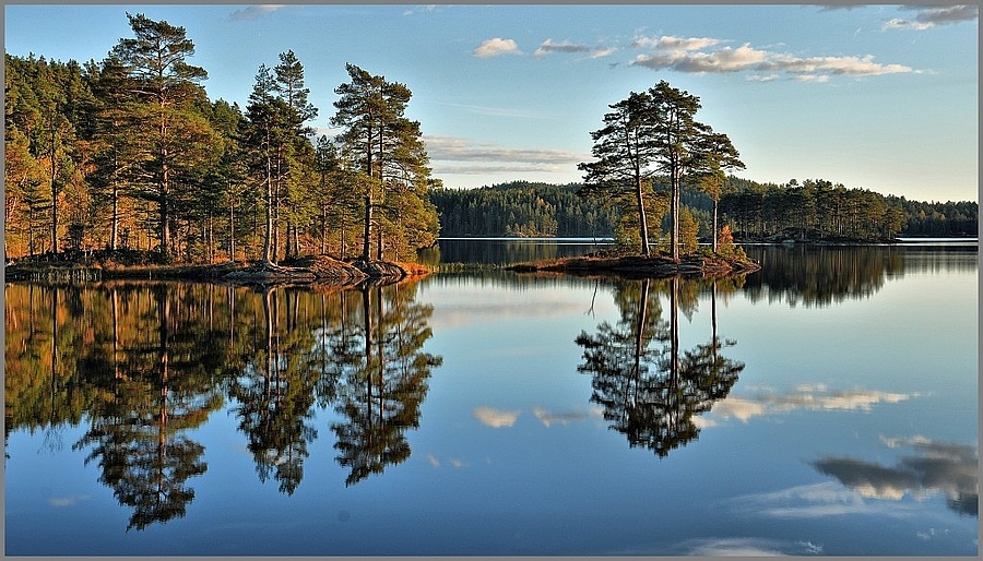 Mirror Image