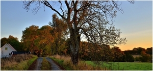 Uber Exif Photo