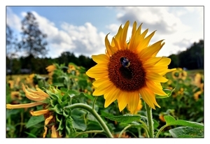Uber Exif Photo
