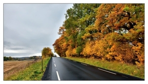 Uber Exif Photo