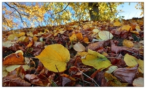 Uber Exif Photo