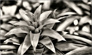 Uber Exif Photo