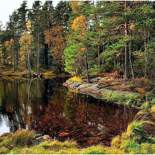Quiet Waters