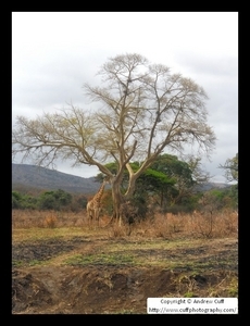 Uber Exif Photo
