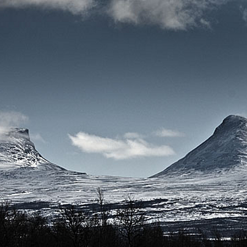 Photo: 105442