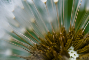 Uber Exif Photo