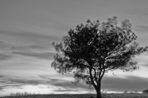 Uber Exif Photo