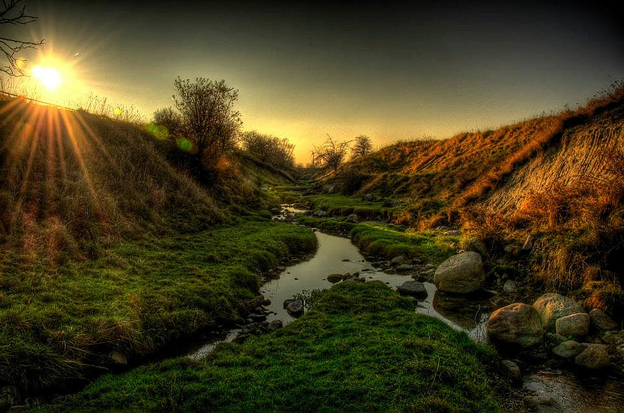 The Ravine