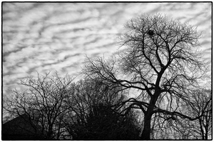 Uber Exif Photo
