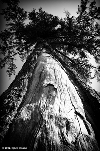 Uber Exif Photo