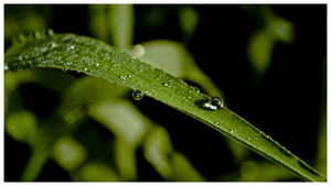 Uber Exif Photo