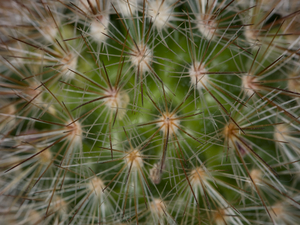 Uber Exif Photo