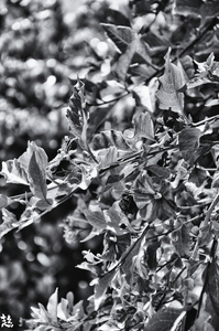 Uber Exif Photo