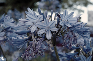 Uber Exif Photo