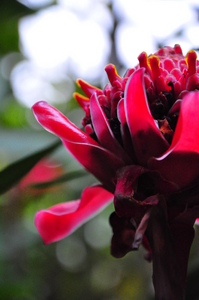 Uber Exif Photo