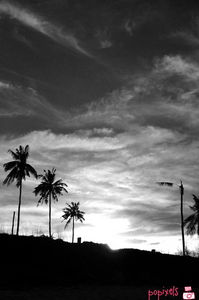 Uber Exif Photo