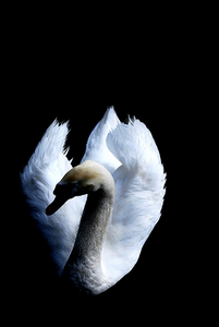 Uber Exif Photo