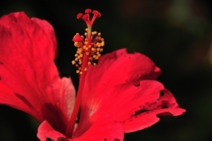 Uber Exif Photo