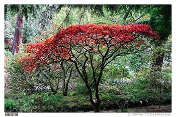Uber Exif Photo