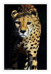 Uber Exif Photo