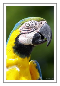 Uber Exif Photo