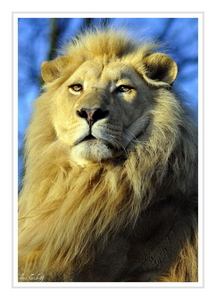 Uber Exif Photo