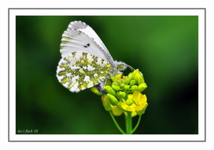 Uber Exif Photo