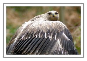 Uber Exif Photo
