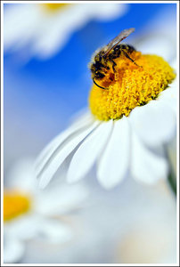 Uber Exif Photo