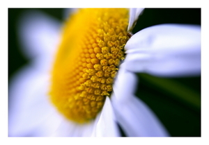 Uber Exif Photo