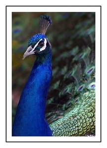 Uber Exif Photo