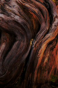 Uber Exif Photo