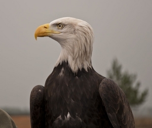 Uber Exif Photo