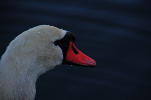 Uber Exif Photo