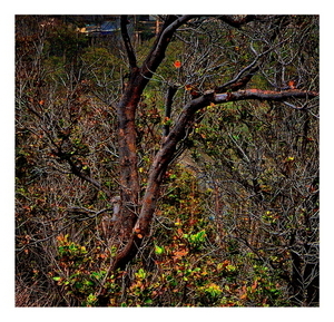 Uber Exif Photo
