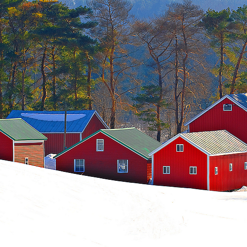 Lil Red Barns