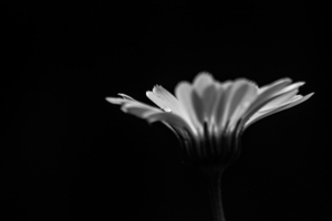 Uber Exif Photo