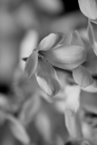 Uber Exif Photo