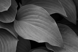 Uber Exif Photo