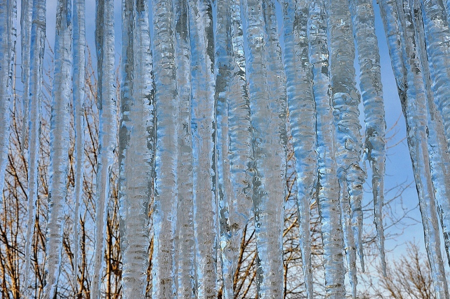 View From My Window