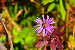 Uber Exif Photo